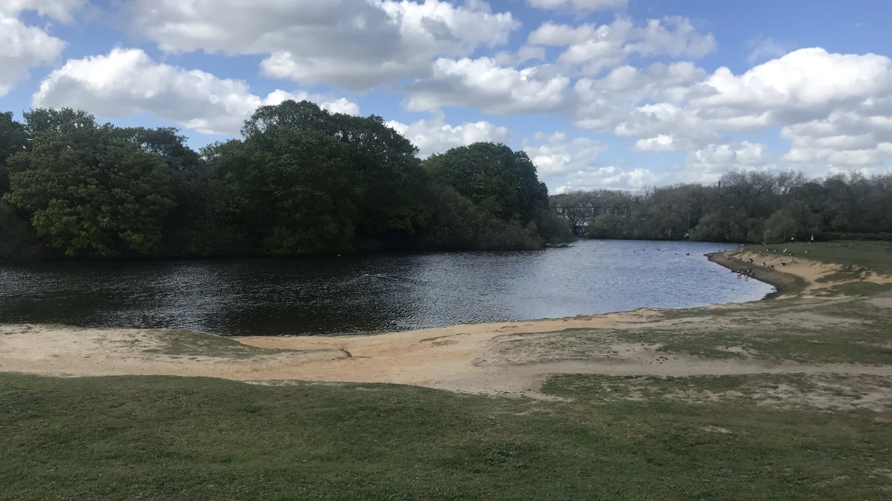 Wanstead Flats